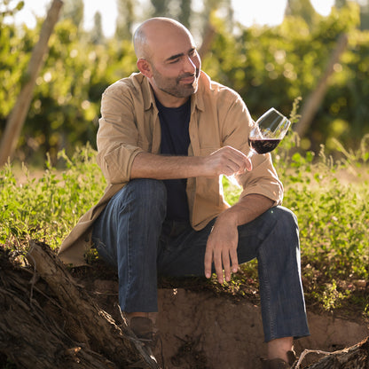 Vinho Tinto Argentino Trivento Reserve Malbec Seco 750 ml