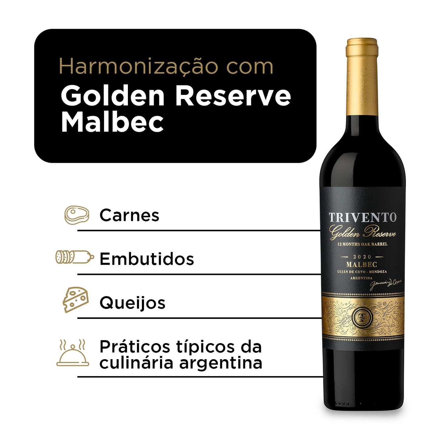 Trivento Vinho Tinto Argentino Seco Golden Reserve Malbec 750ml