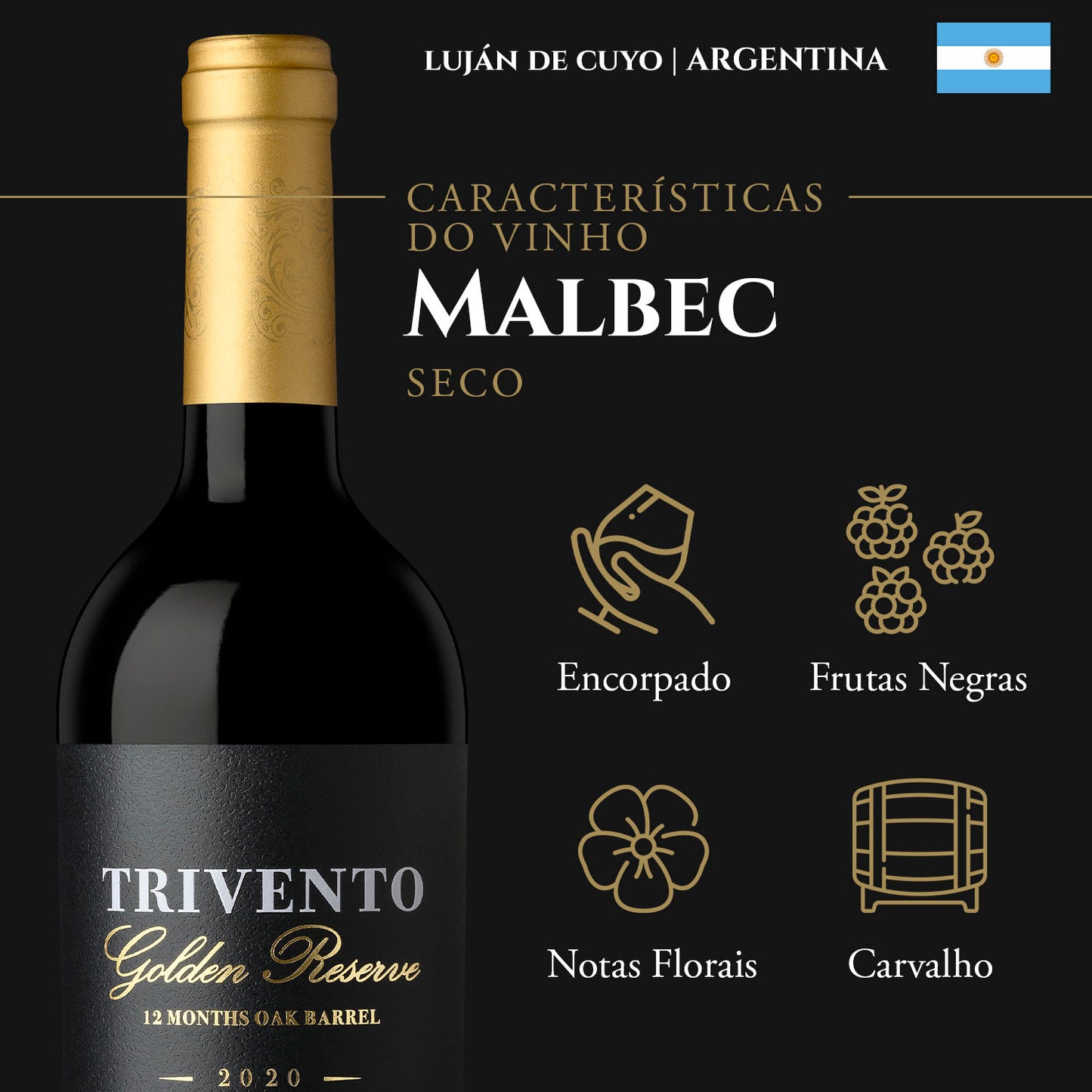 Trivento Vinho Tinto Argentino Seco Golden Reserve Malbec 750ml