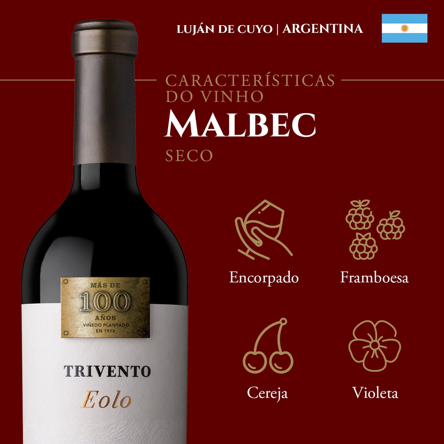Trivento Eolo Malbec Seco