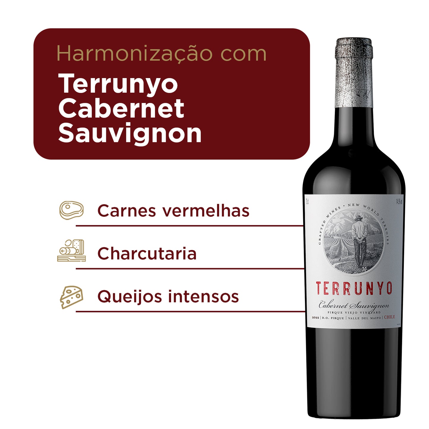 Vinho Chileno Terrunyo Cabernet Sauvignon 750ml