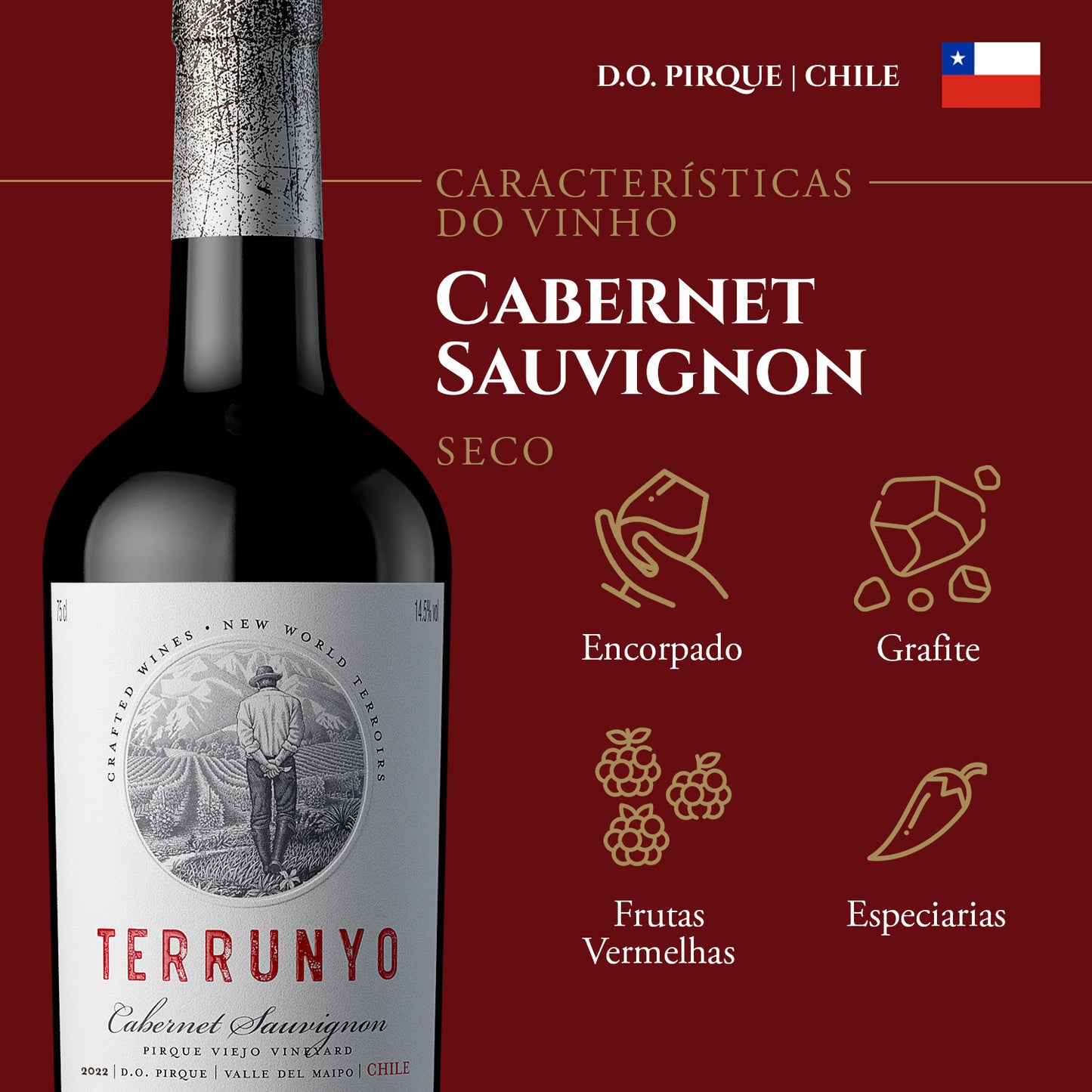 Vinho Chileno Terrunyo Cabernet Sauvignon 750ml