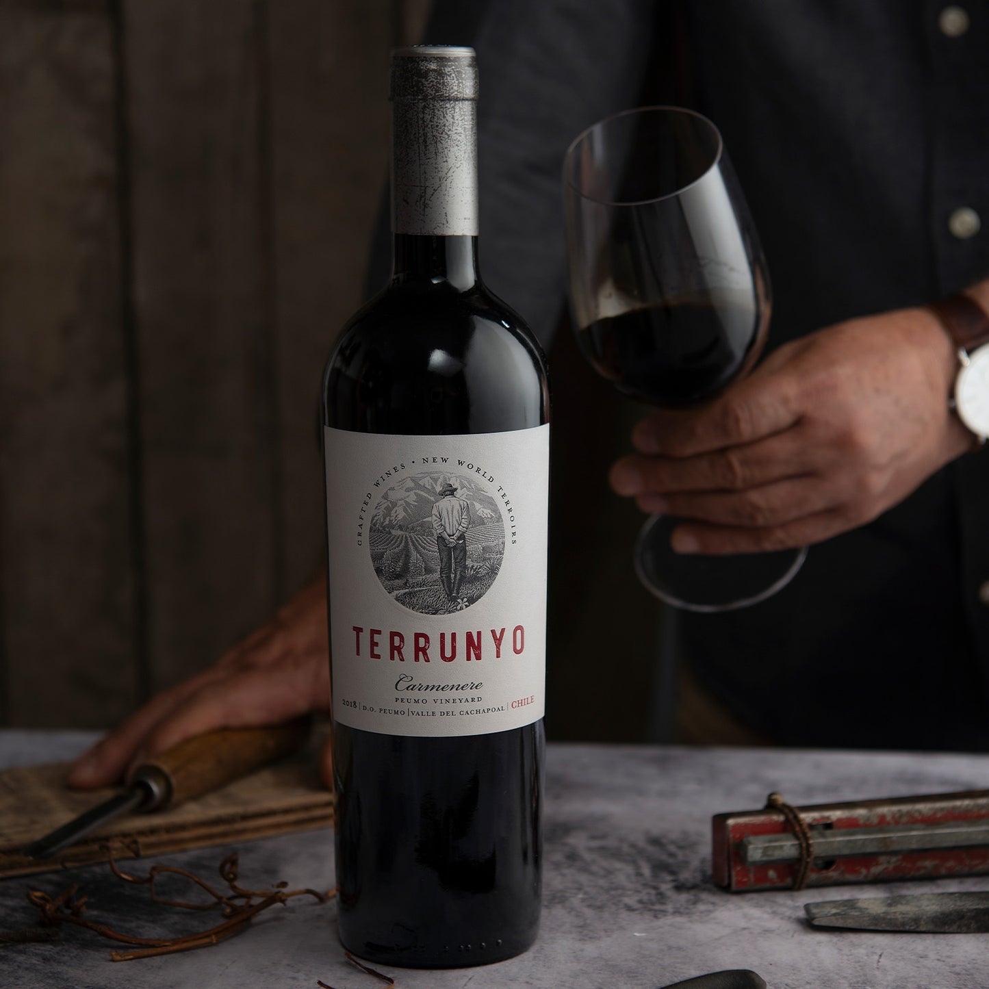 Vinho Chileno Terrunyo Cabernet Sauvignon 750ml