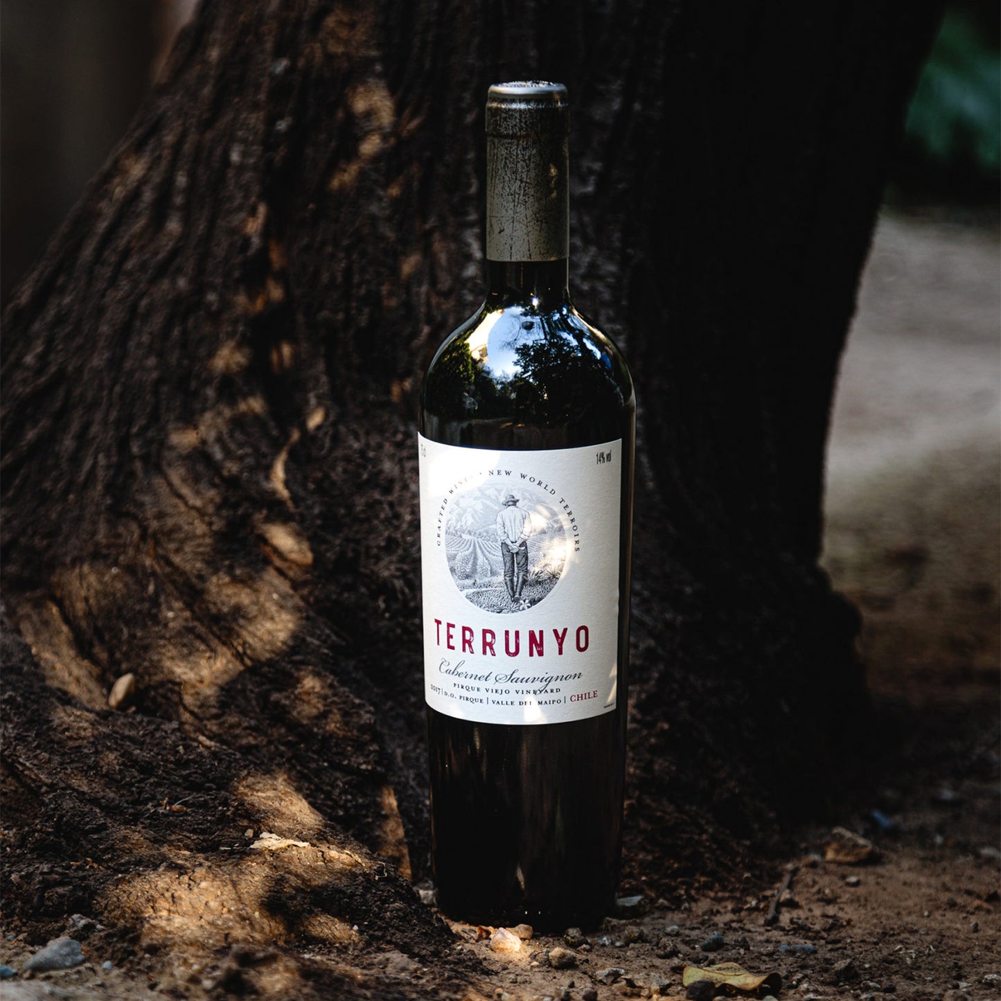 Vinho Chileno Terrunyo Cabernet Sauvignon 750ml