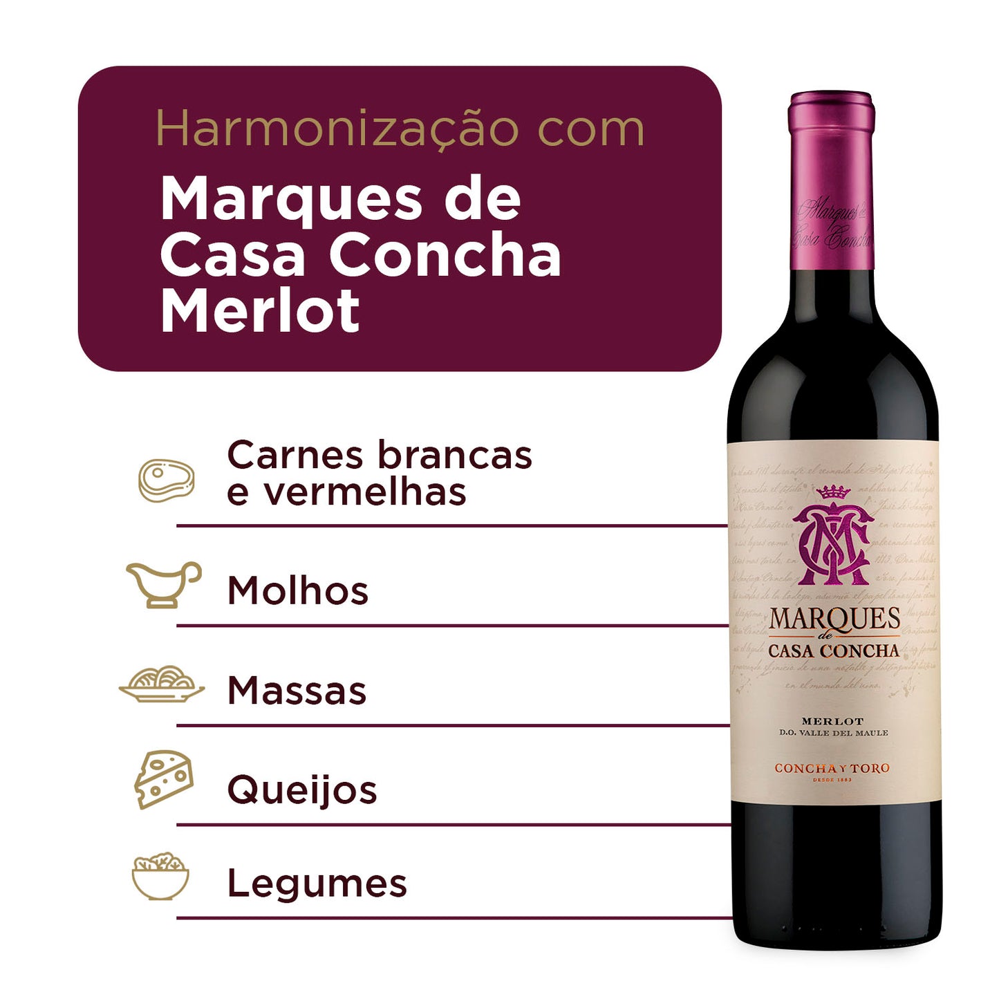Vinho Tinto Chileno Marques De Casa Concha Merlot 750ml