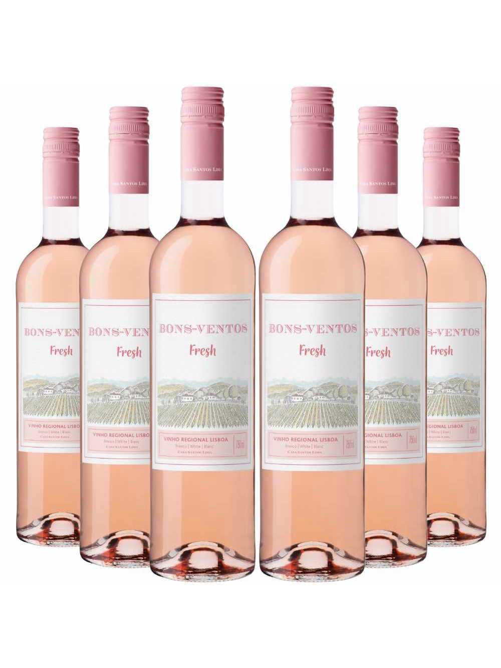 Kit 6 Garrafas Vinho Rose Bons Ventos Fresh 750ml
