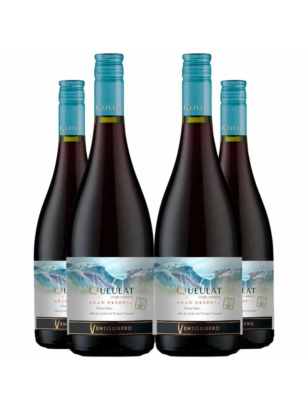 Vinho Tinto Queulat Gran Reserva Pinot Noir 750ml Kit 4 Garrafas