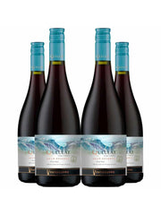 Vinho Tinto Queulat Gran Reserva Pinot Noir 750ml Kit 4 Garrafas