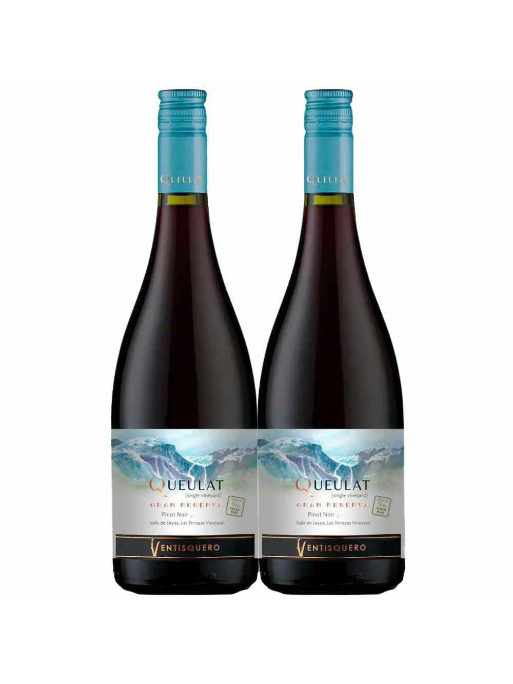 Kit 2 Garrafas Vinho Tinto Ventisquero Queulat Gran Reserva Pinot Noir 750ml