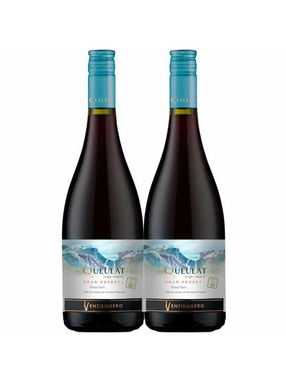 Kit 2 Garrafas Vinho Tinto Ventisquero Queulat Gran Reserva Pinot Noir 750ml