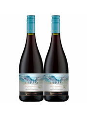 Kit 2 Garrafas Vinho Tinto Ventisquero Queulat Gran Reserva Pinot Noir 750ml