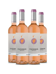 Vinho Rose Ciconia Alentejo 750ml Kit 4 Garrafas