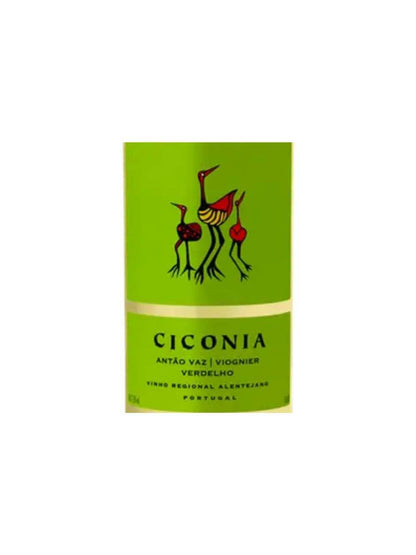Vinho Branco Ciconia Alentejo 750ml Kit 4 Garrafas