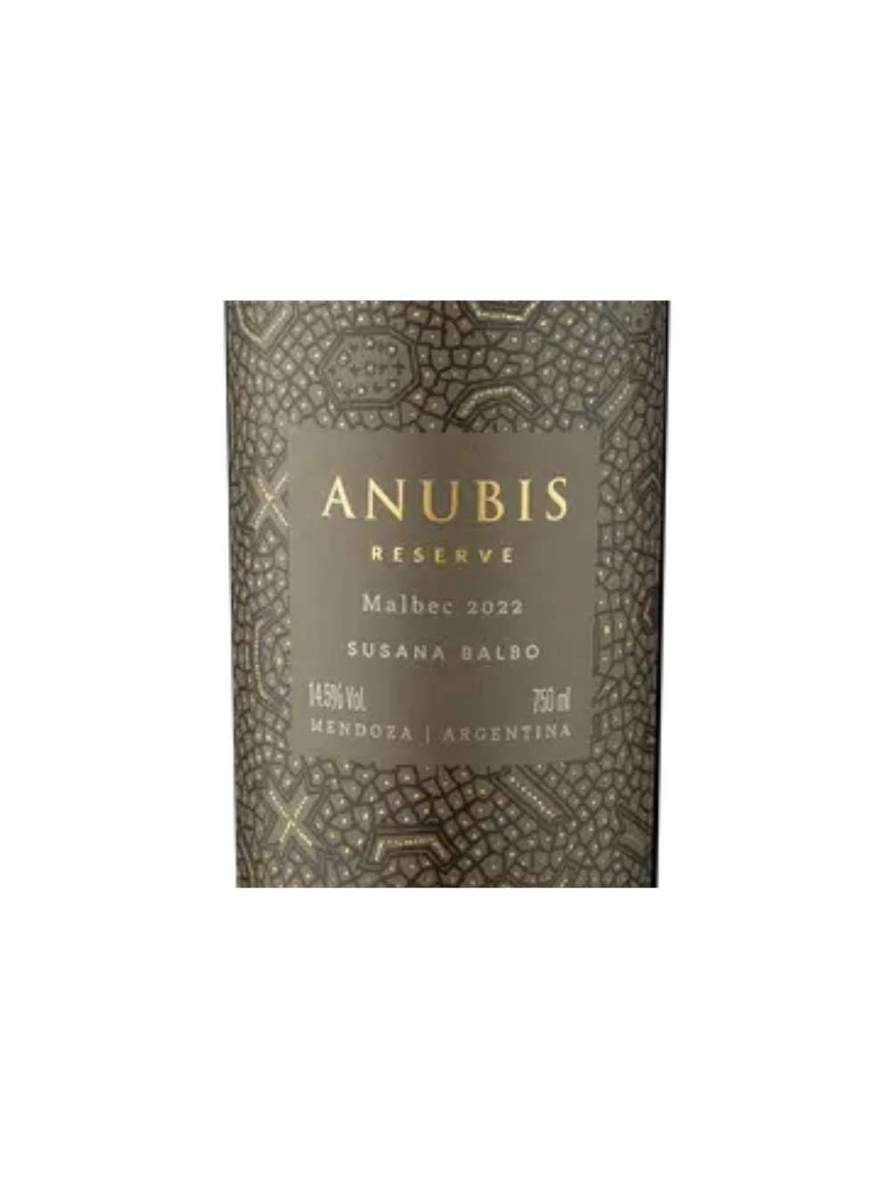 Kit 6 Garrafas Vinho Tinto Anubis Reserva Malbec 750ml