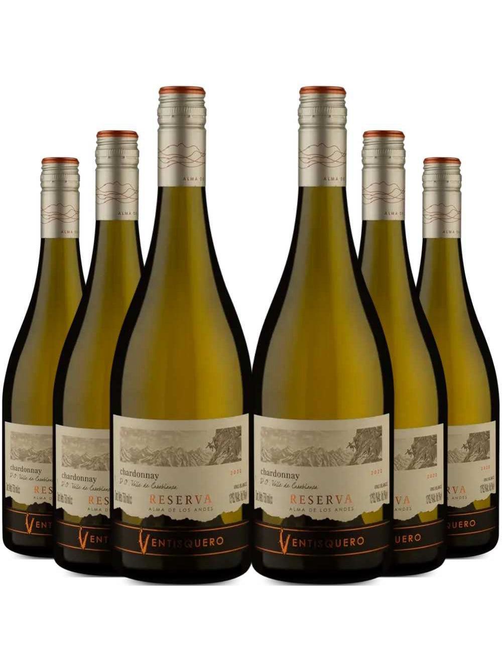 Kit 6 Garrafas Vinho Branco Ventisquero Reserva Chardonnay 750ml