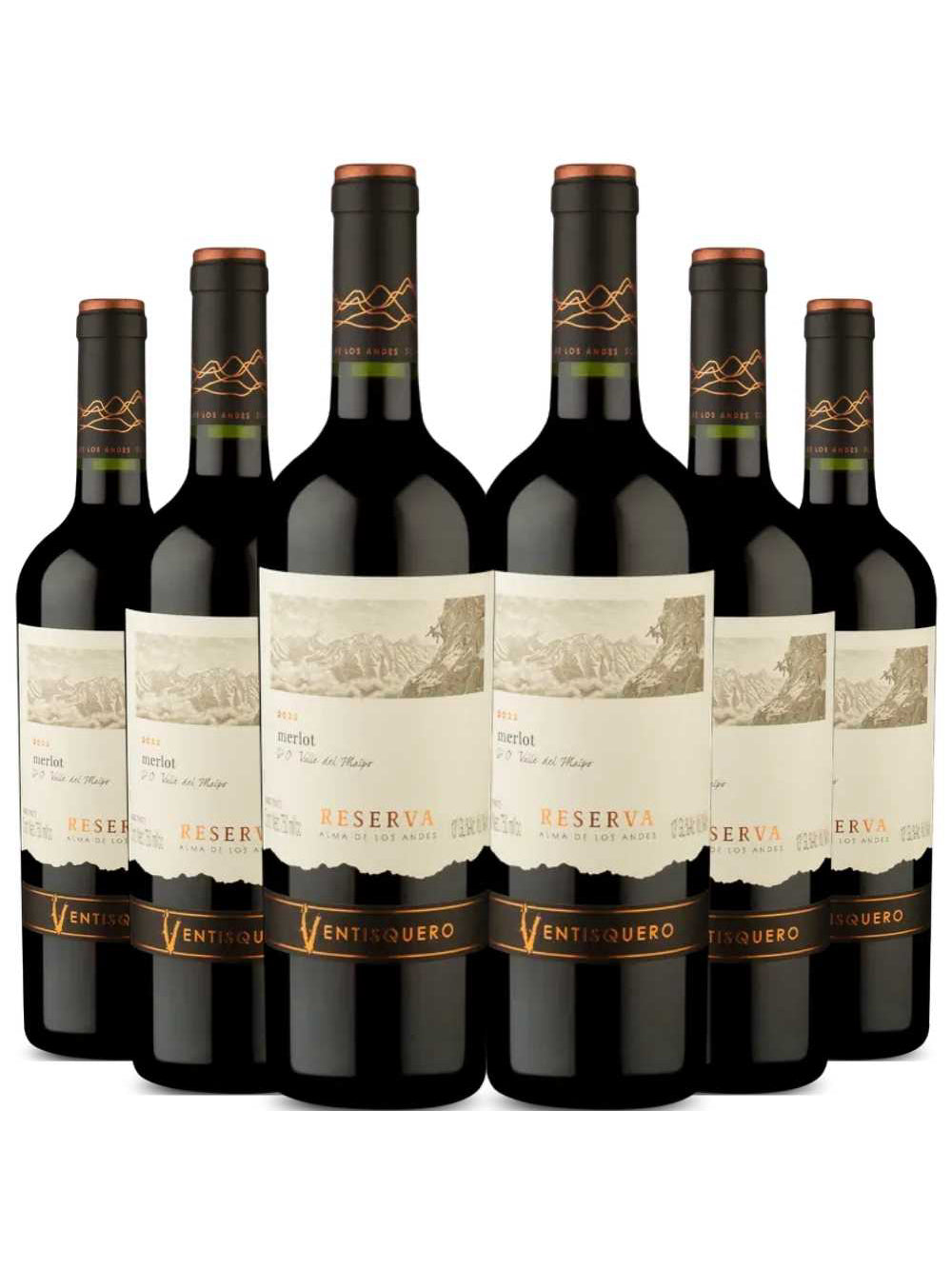 Kit 6 Garrafas Vinho Tinto Ventisquero Reserva Merlot