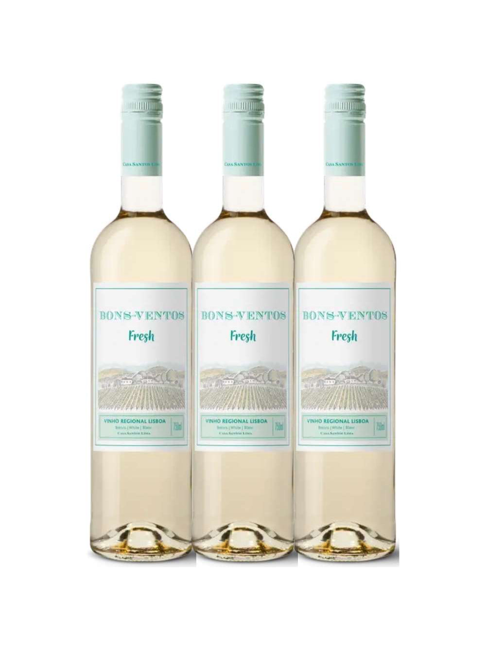 Vinho Branco Bons Ventos Fresh 750ml (3 und)
