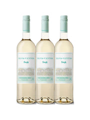 Vinho Branco Bons Ventos Fresh 750ml (3 und)