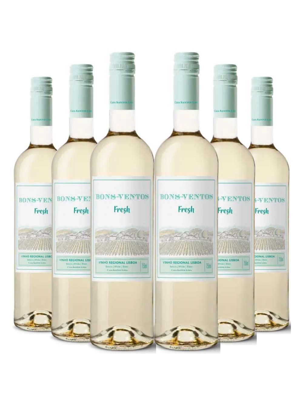 Kit 6 Garrafas Vinho Branco Bons Ventos Fresh 750ml