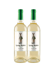 Kit 2 Garrafas Vinho Branco Spring Rabbit Sauvignon Blanc 750ml