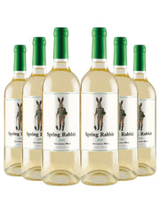 Kit 6 Garrafas 750ml Vinho Branco Spring Rabbit Sauvignon Blanc 750ml