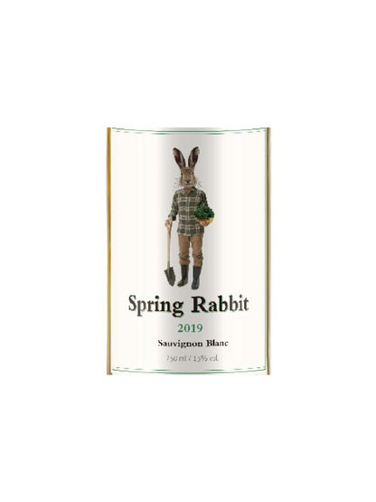 Kit 6 Garrafas 750ml Vinho Branco Spring Rabbit Sauvignon Blanc 750ml