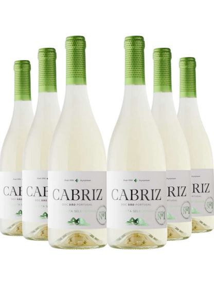 Kit 6 Garrafas Vinho Branco Cabriz Colheita Selecionada Dão 750ml