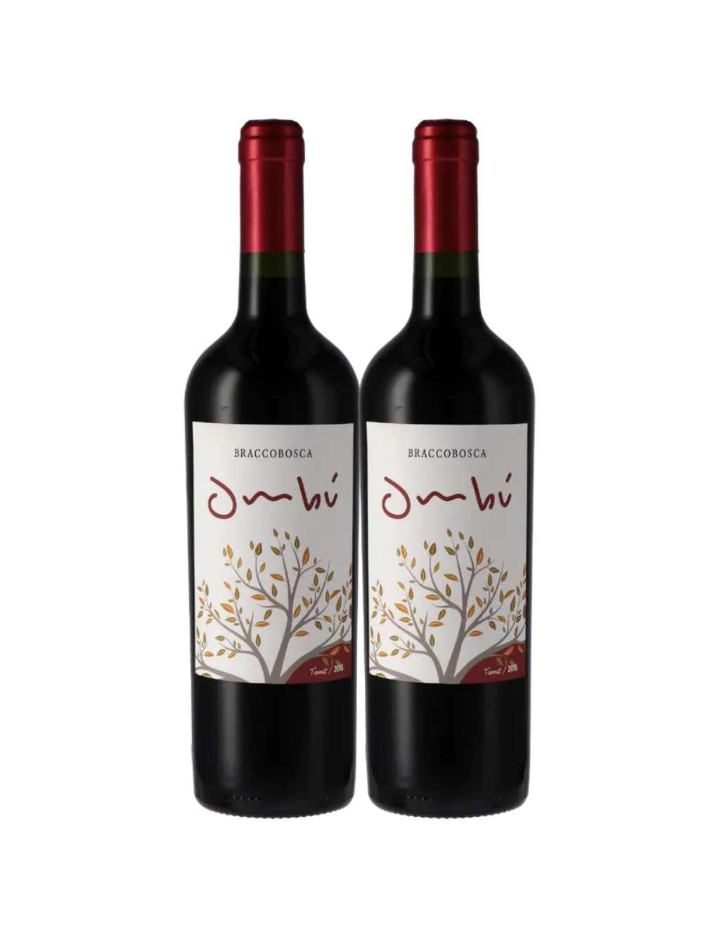 Kit 2 Garrafas Vinho Tinto Braccobosca Ombu Tannat 750ml