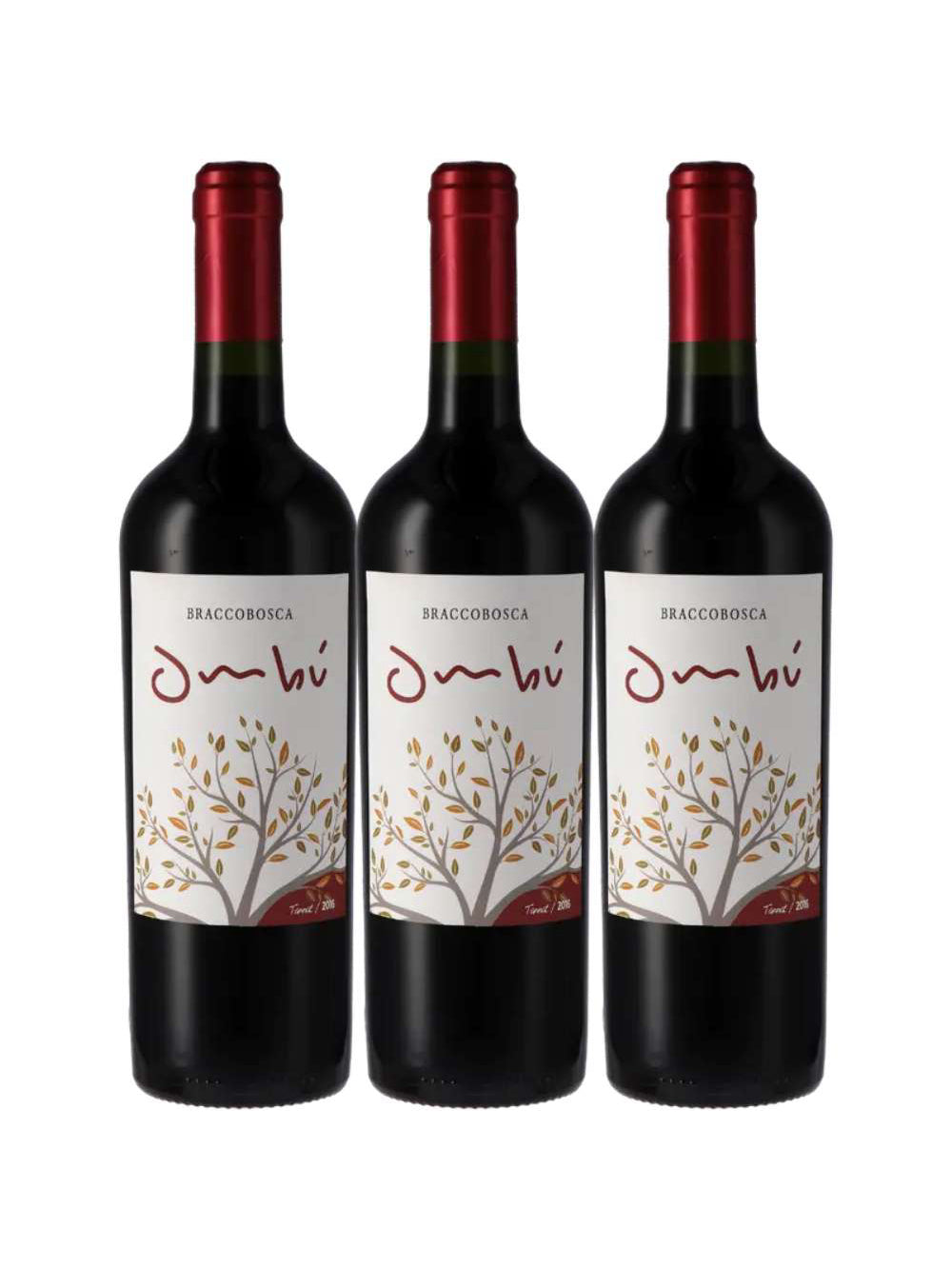 Vinho Tinto Braccobosca Ombu Tannat 750ml (3 und)