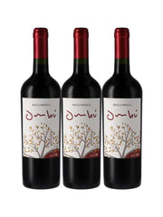 Vinho Tinto Braccobosca Ombu Tannat 750ml (3 und)
