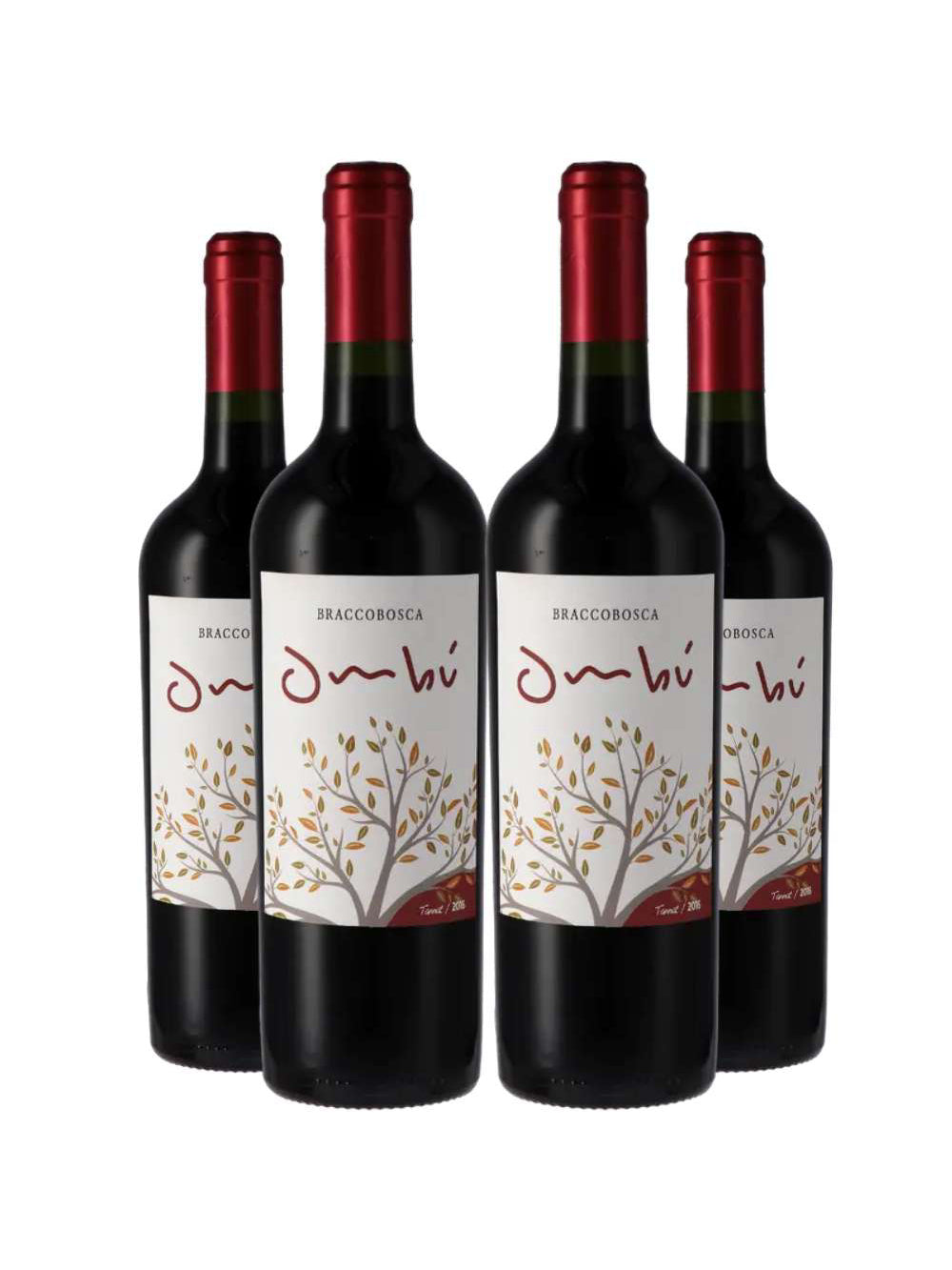 Vinho Tinto Braccobosca Ombu Tannat 750ml Kit 4 Garrafas