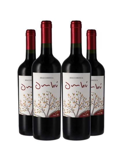 Vinho Tinto Braccobosca Ombu Tannat 750ml Kit 4 Garrafas