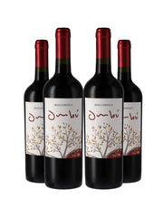 Vinho Tinto Braccobosca Ombu Tannat 750ml Kit 4 Garrafas