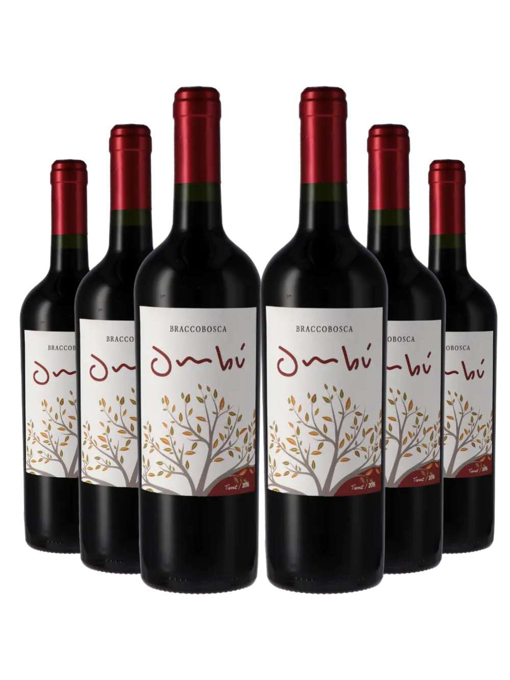 Kit 6 Garrafas Vinho Tinto Braccobosca Ombu Tannat