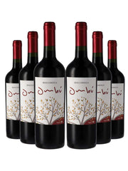 Kit 6 Garrafas Vinho Tinto Braccobosca Ombu Tannat