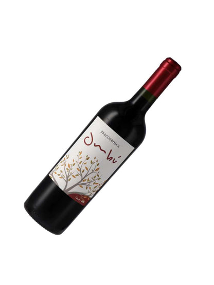 Kit 6 Garrafas Vinho Tinto Braccobosca Ombu Tannat