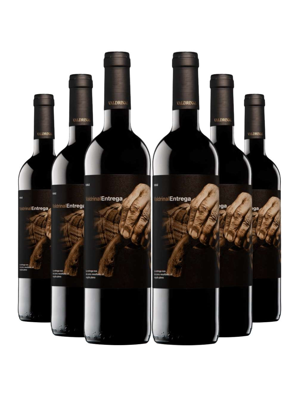 Kit 6 Garrafas Vinho Tinto Valdrinal Entrega Roble 750ml
