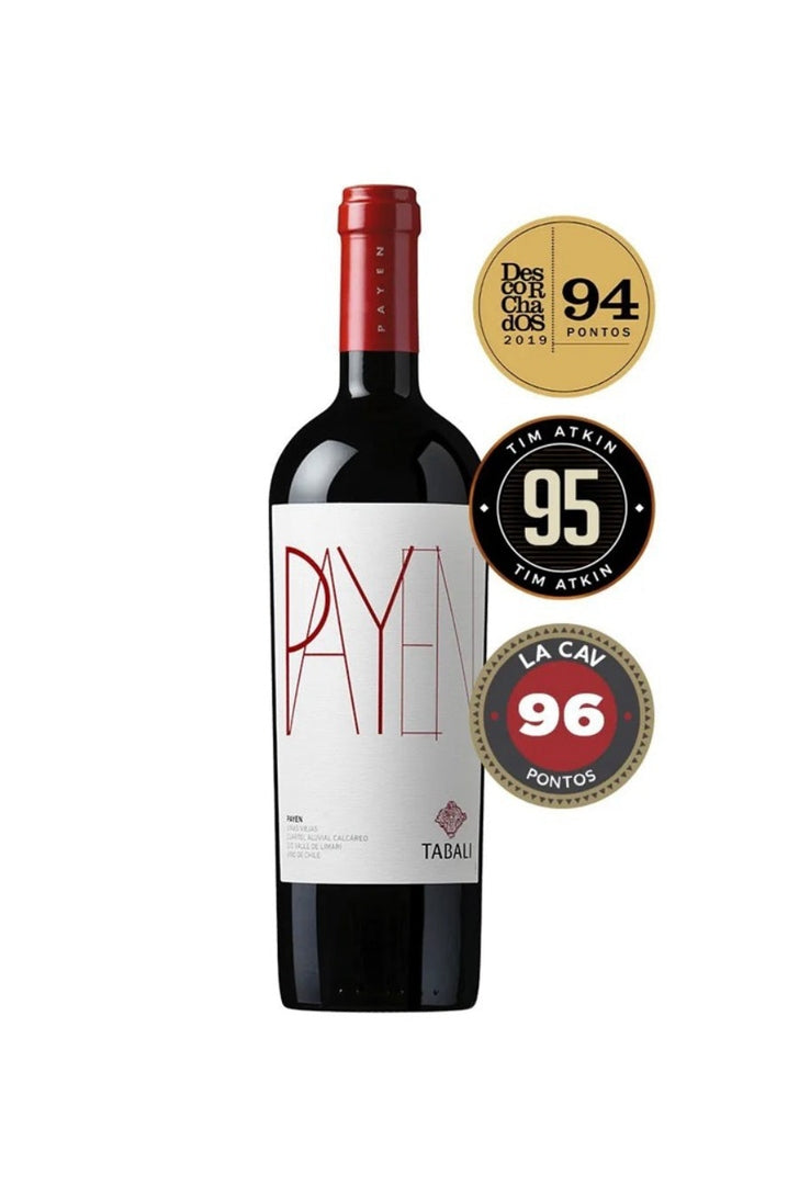 Vinho Tabali Payen Syrah 2018