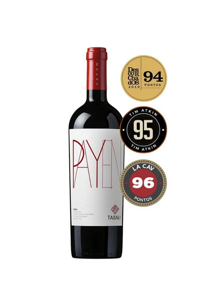Vinho Tabali Payen Syrah 2018