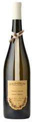 Pinot Grigio "Il Tralcetto" Delle Venezie DOC 2023