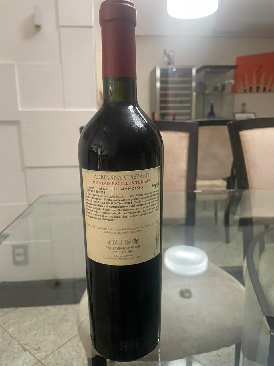 Adrianna Vineyard Mundus Bacillus Terrae Malbec 2019
