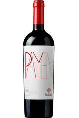 Vinho Tabali Payen Syrah 2018