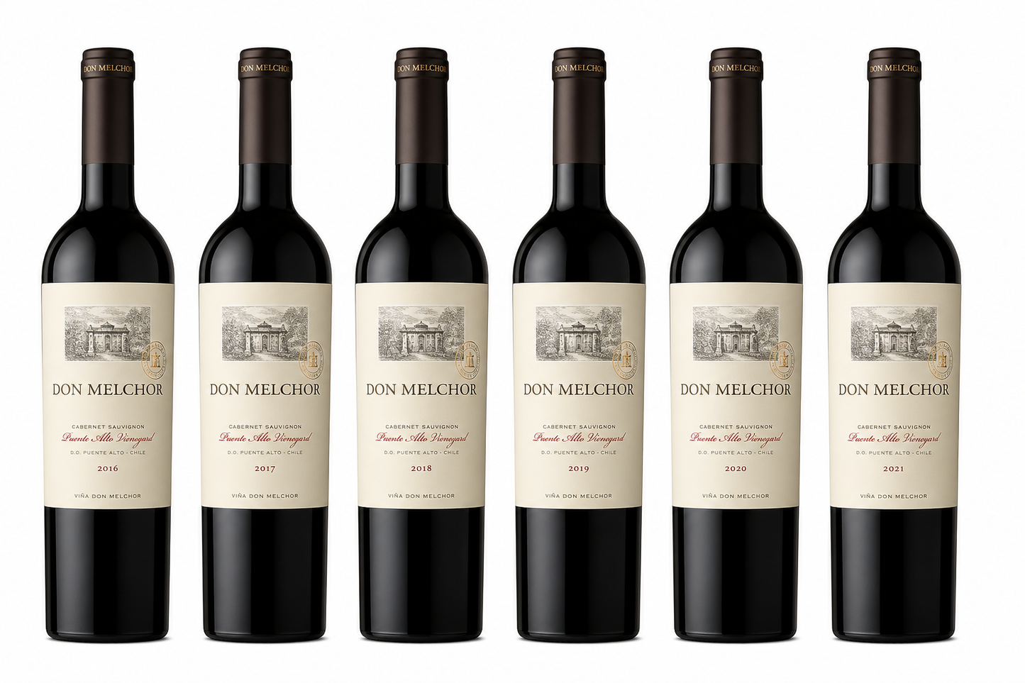 Vertical Safras Antigas de Don Melchor (2016 a 2021)