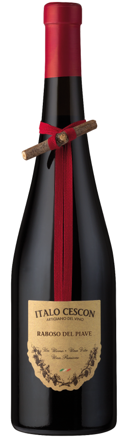 Raboso del Piave "Il Tralcetto" Piave DOC 2016